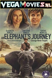  An Elephant’s Journey (2017) Dual Audio {Hindi-English} 480p [300MB] | 720p [850MB] | 1080p [1.6GB]