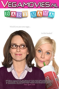  Baby Mama (2008) Dual Audio {Hindi-English} 480p [350MB] | 720p [900MB]