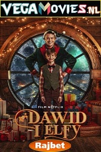  David and the Elves (2021) Hindi [Voice Over] Full Movie WeB-DL 720p [969MB]