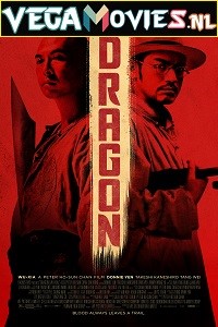  Dragon (2011) Dual Audio {Hindi-English} 480p [300MB] | 720p [750MB]