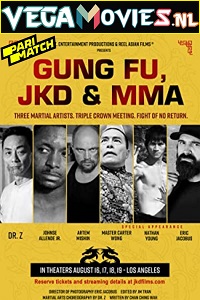  Gung Fu, JKD & MMA (2019) Hindi Voice Over Full Movie WEB-DL 720p [1GB]