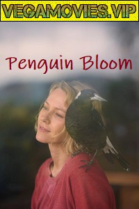  Penguin Bloom (2020) HDCAM English 480p [250MB] | 720p [850MB]