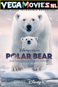  Polar Bear (2022) {English With Subtitles} 480p [250MB] | 720p [700MB] | 1080p [2.4GB]