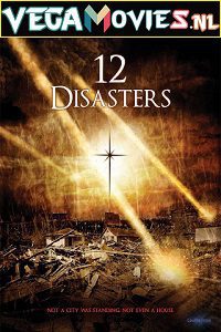  The 12 Disasters of Christmas (2012) Dual Audio {Hindi-English} 480p [300MB] | 720p [1.2GB]