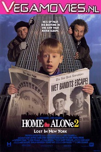  Home Alone 2 (1992) Dual Audio {Hindi-English} 480p [400MB] | 720p [1GB]