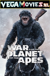  War for the Planet of the Apes (2017) Dual Audio {Hindi-English} 480p [400MB] | 720p [1.4GB] | 1080p [2GB]