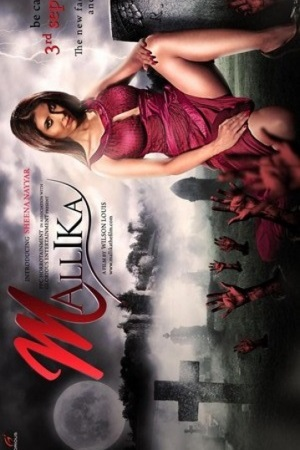  Mallika (2010) HDRip Hindi Full Movie 480p [300MB] | 720p [1GB] | 1080p [2.9GB]